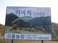 [강원도 화천] 토고미마을(파프리카), 원앙마을(친환경 한우 농장견학)