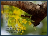 중년의 사랑