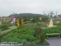 [가족 나들이] 유아동반 나들이로 경주 보문 허브랜드는 어떠신가요?