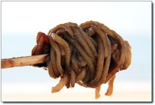 [증도] 짱뚱어다리 위에서 감탄을! 우전 해변에서 감동을!