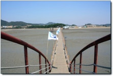 [증도] 짱뚱어다리 위에서 감탄을! 우전 해변에서 감동을!