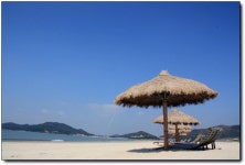 [증도] 짱뚱어다리 위에서 감탄을! 우전 해변에서 감동을!