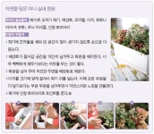 재능교육 Mom대로 키워라, 꽃과 식물로 겨울집에 훈훈함을 더하다