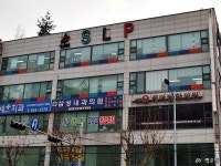 초등영어공부위해 초등영어학원 서강대SLP 상담받고 왔어요!!