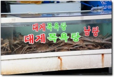 [영덕] 3개 국적 가진 대게맛 보셨나요?