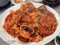 원주맛집 무실동 황기마당촌 삼계탕과 해물찜 여름보양식