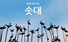 능강솟대문화공간, 하늘을 향한 희망 솟대