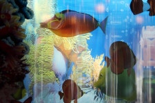 가로수길맛집/신사동맛집 니뽕내뽕