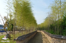 예천곤충바이오엑스포 근처 관광지(회룡포마을)+ 맛집(용궁순대)+ 삼강주막 ♥ 여름방학 가족여행