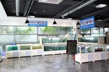 서현맛집 주문진도매시장