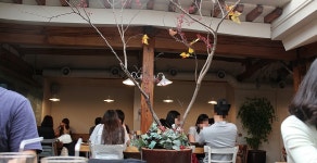 성신여대맛집 성북구맛집 돈암동맛집 놈파스타