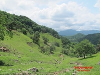 자연방목흑염소농장 평창계촌마을