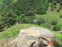 자연방목흑염소농장 평창계촌마을