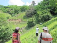 자연방목흑염소농장 평창계촌마을