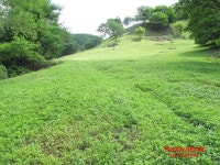 자연방목흑염소농장 평창계촌마을