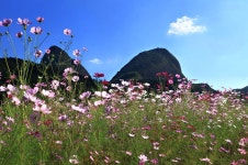 퍼옴)= 나의 치유는 너다