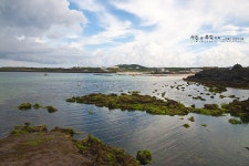 제주도 우도 여행을 더 즐겁게 즐기는 방법, 보물섬레저