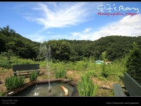 [국내여행|펜션] 수영장이 있는 동화같은 버섯펜션, 진천 해피하우스 펜션 in 충북 진천