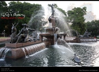 [호주여행/시드니여행]낮과 밤이 다른 하이드파크(Hyde Park)