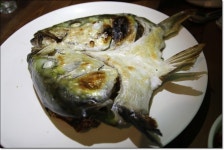 우도맛집 방어풀코스 회양과 국수군