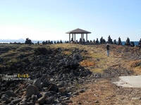 우도여행 필수 관광코스 보물섬 ATV