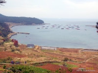 청산도여행 슬로길1코스 서편제길