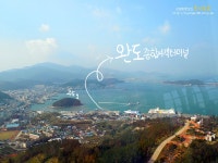 완도여행 코스 완도타워