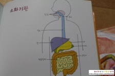 <창꿈아이 - 창의 사이언스 2> 2-1.과학. 인체의 이해 (소화기관의 이해)