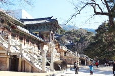 경주 불국사 석가탑과 극락전 황금돼지 이야기 ~