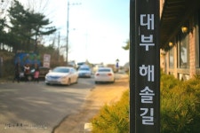 [구봉도, 경기도당일치기여행] 그녀는 심술쟁이 _ 구봉도 해솔길