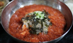 대구 산오징어회, 산오징어횟집 평리동 대머리산오징어