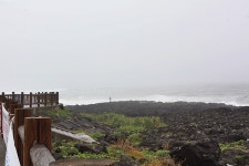 제주펜션,중문펜션 논짓물해수족욕카페가 있는 논짓물펜션