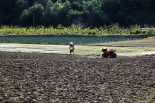 [나홀로여행] 군위 화본역 - 혼자여행하기좋은곳/군위당일여행코스