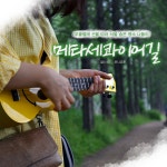 서울 숨은 명소, 하늘공원 메타세콰이어길 출사