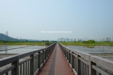 인천 가볼만한곳, 소래습지 생태공원