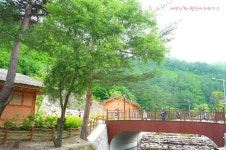농촌체험마을, 삼척산양농산촌체험마을