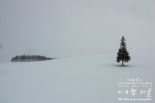 [홋카이도(北海道)/비에이(美瑛)]비에이의 설경을 만나다-파노라마길