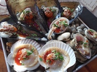[대천맛집] 먹보네 조개구이 :: 무한리필 조개구이 & 회