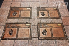 [부산]젊음과 영화의 중심지 광복로와 BIFF 광장