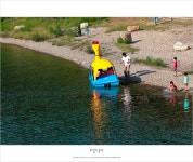 꽃과 나비가 함께 하는 <봉무공원> - 대구가볼만한곳