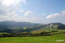 [평창여행코스] 평창여행 - 봉평메밀꽃축제와 함께하는 당일치기 평창여행코스 / 평창 가볼만한곳