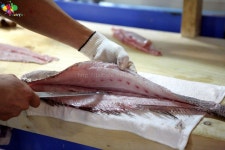 [서울/노량진]여름의 민어, 가을의 전어가 마주하다, 노량진 수산시장 성도수산