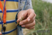 서울 근교 나들이 양평 수미마을