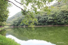영광 가볼만한곳 불갑사 저수지