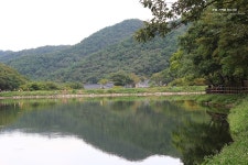 영광 가볼만한곳 불갑사 저수지