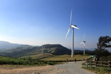 강원도 가볼만한곳 대관령 삼양목장