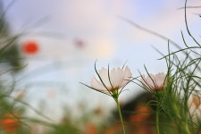 서울 가볼만한곳 베스트 올림픽공원
