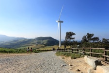 강원도 가볼만한곳 대관령 삼양목장