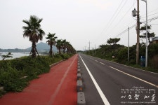 [제주 올레 21코스]마지막은 또 다른 시작이다