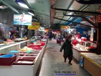 포항가볼만한곳 죽도시장